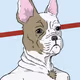 Fabulous Frenchies