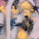 Face to Face by hvriitta
