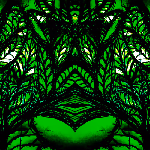 Faces of a tree - old