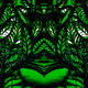 Faces of a tree - old
