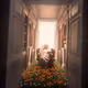 Fade Away in Memories