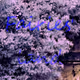 Fairies's land