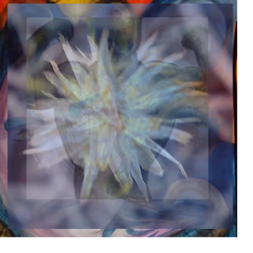 FAIRY FIGURES COLLECTION BY ARTIST PAULA REILLY