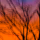 Fake African Sunset - old