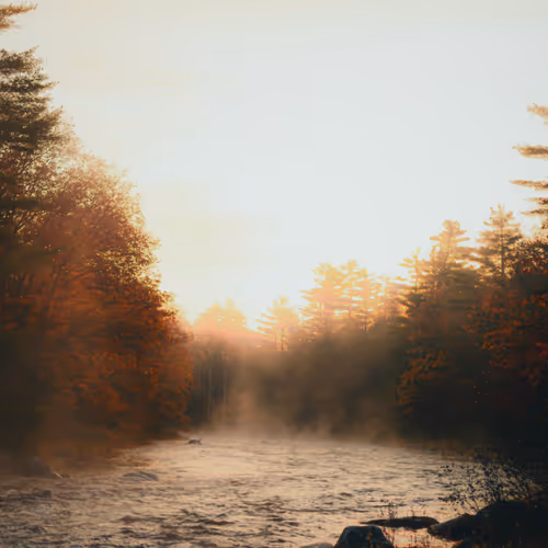 Fall can come to you - old