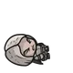 Fallen Angels 2D