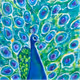 Fancy Feathers Peacock Style