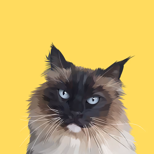 Fancycats