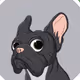 FANCY FRENCHIES # - old