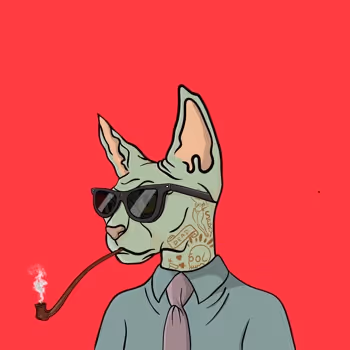 Fancy Sphynx - old