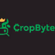 fans of cropbytes