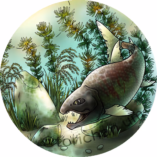 Fantastic Aquarium 2