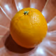 Fantastic Fruit by Jori Richard