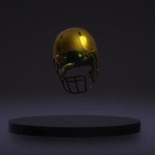 Fantasy Football Trophies