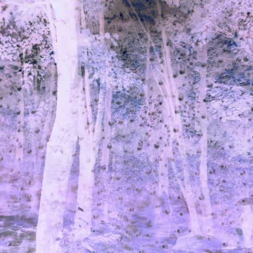 fantasy forest1_shasa