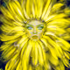 Fantasy magical flowers