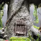 Fantasy Fairy Tree