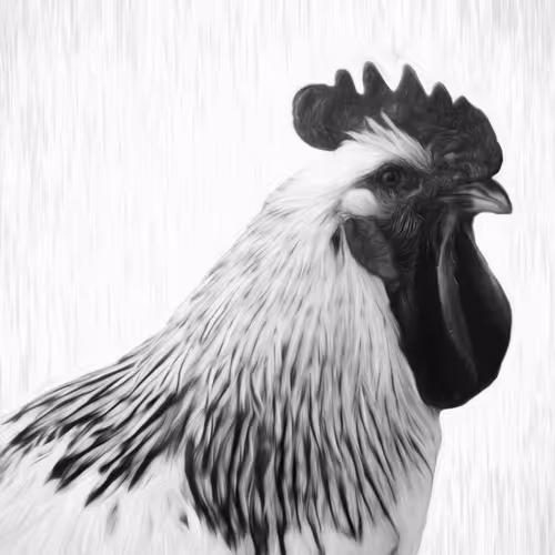 Farm Cox - Fine Art - old