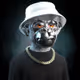 Fashion Ape ~ Metaverse