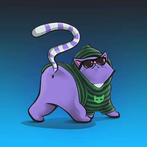fashion cat always