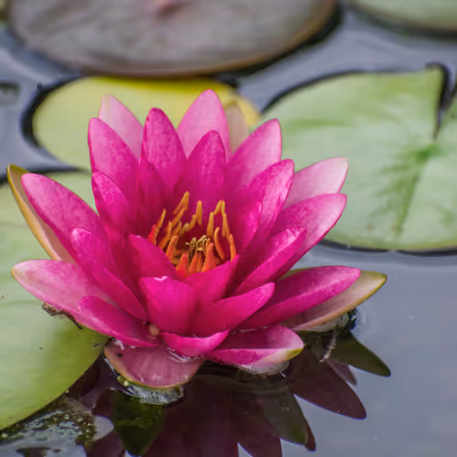 Fear of Nothing - old