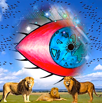 DOG GONE BACKWARDS Feel the Power