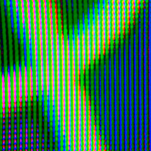 Feelings in the Metaverse