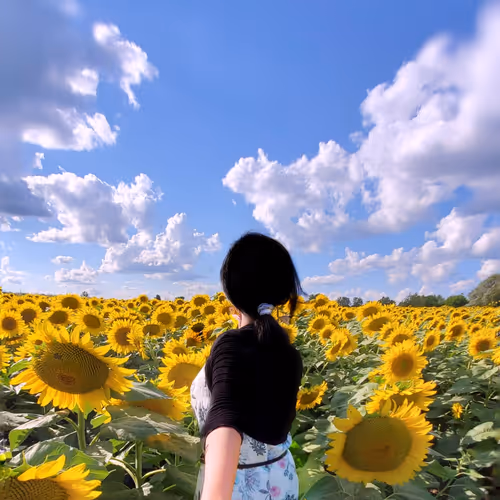 Feetpin Travel Collection #85648419