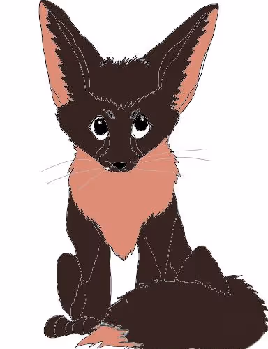 Fennec Fox