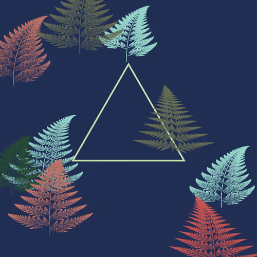 Fern Study