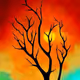 Fero's Arts