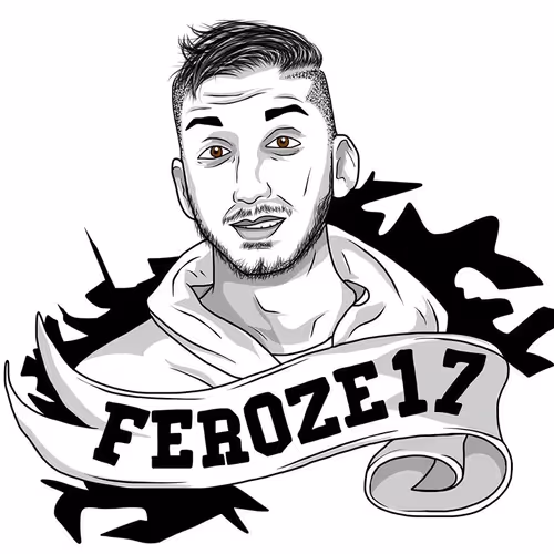 Feroze17's Animations and Art