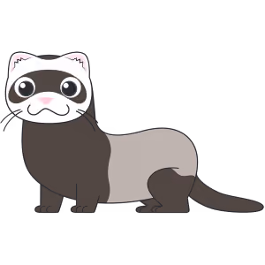 Ferret's Art