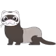 Ferret's Art