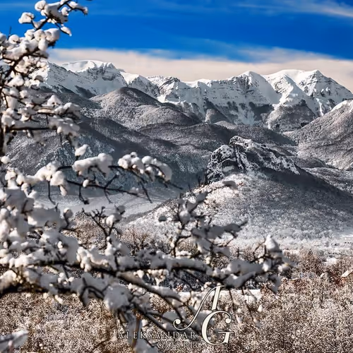 Fields of love - old