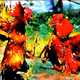 Fighting Cocks