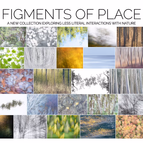 Figments of Place