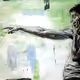 Figurative Work