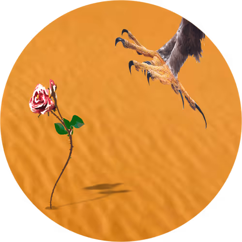The final survival