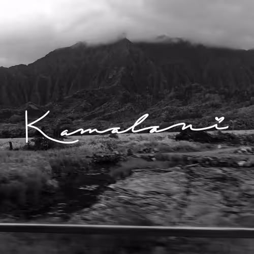 Finding Beauty During Chaos - By: Kamalani