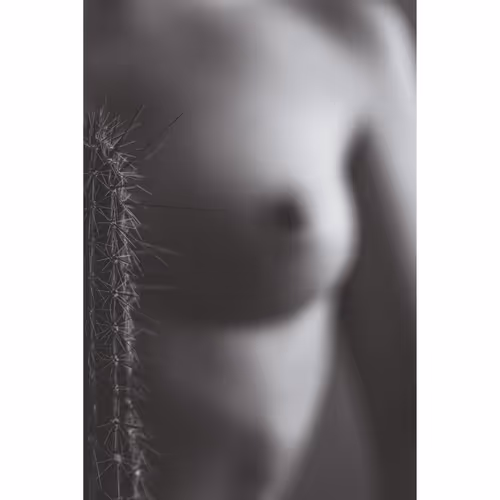 Fine Art Nudes - Mixed Media - old