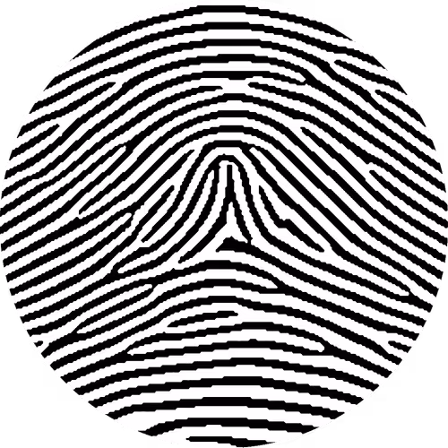 Finge [Fingerprints] - old