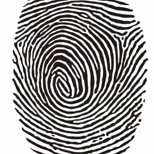Fingerprint art