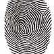 Fingerprint art