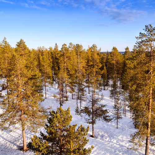 Finland near Rovaniemi