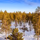 Finland near Rovaniemi