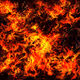 Fire Dragon Dystopian Mosaic - old