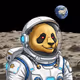 Fire Orbit