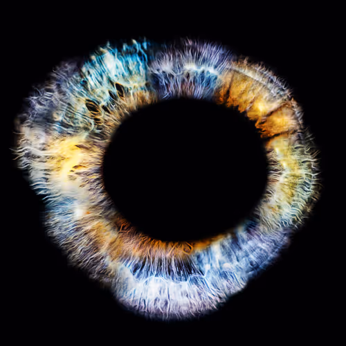 Firing Synapses - old