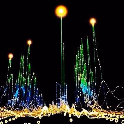 First Collection #182514876